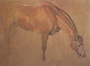 Sir edwin landseer,ra Study of a Horse (mk46) oil painting reproduction